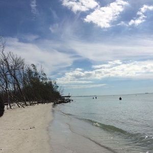 Meet your Posher, Joyce